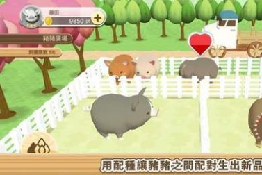 像素养猪场免费正版