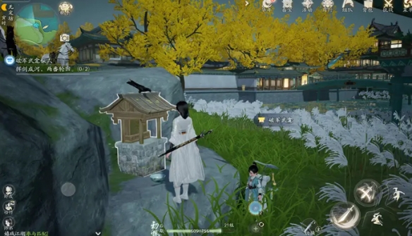 射雕