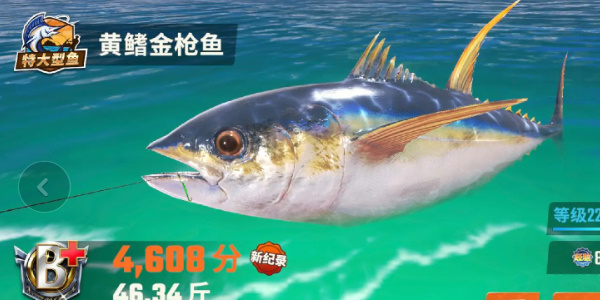 欢乐钓鱼大师
