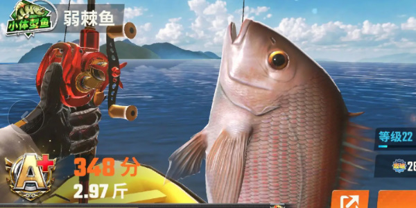 欢乐钓鱼大师