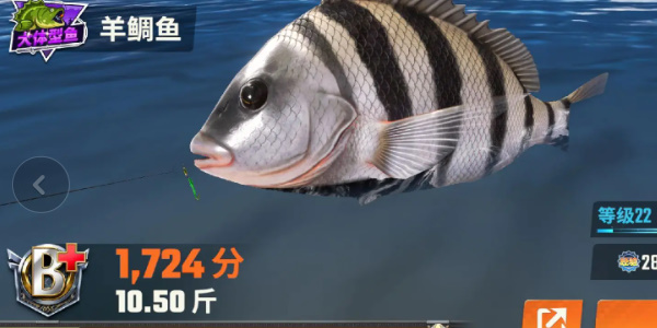 欢乐钓鱼大师
