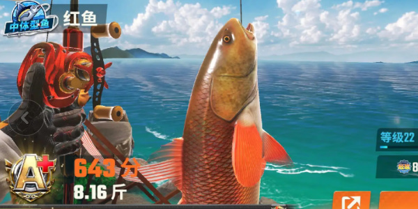 欢乐钓鱼大师