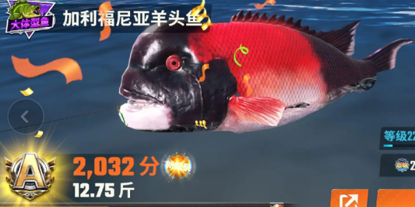 欢乐钓鱼大师