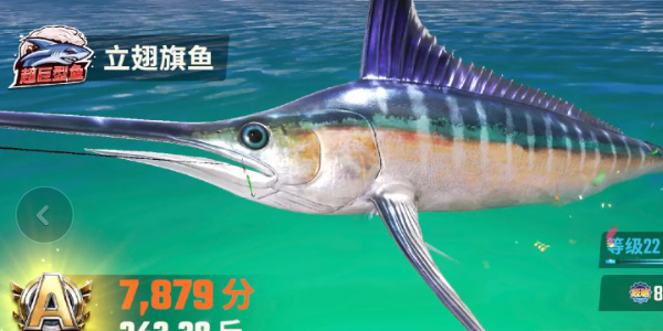 欢乐钓鱼大师