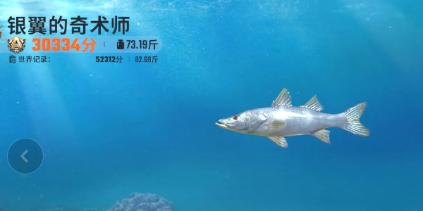 欢乐钓鱼大师