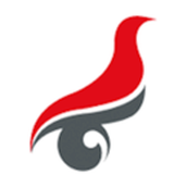 学信网APP