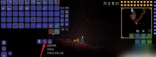 泰拉瑞亚