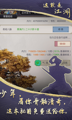 这就是江湖无限金币