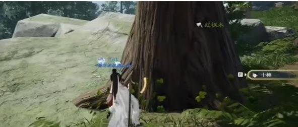 射雕