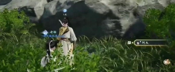 射雕