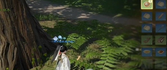 射雕