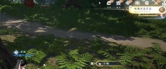 射雕