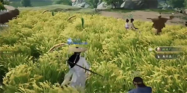 射雕