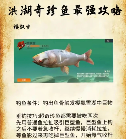 欢乐钓鱼大师