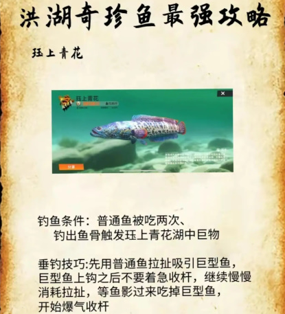 欢乐钓鱼大师