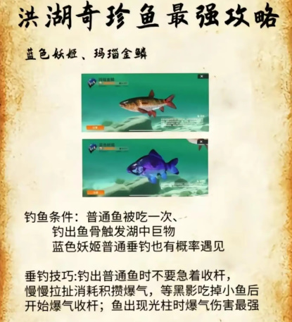 欢乐钓鱼大师