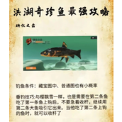 欢乐钓鱼大师洪湖最后两条鱼在哪