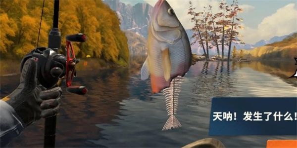 欢乐钓鱼大师