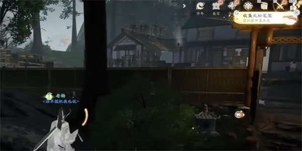 射雕
