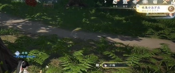 射雕
