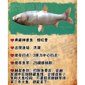 欢乐钓鱼大师典藏神兽鱼获取全攻略