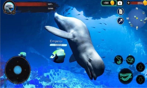 海洋大捕杀下载最新版