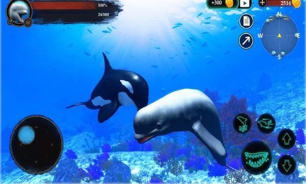 海洋大捕杀下载最新版