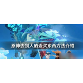 原神壶灵玩法指南购买与互动详解