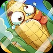 欢乐厨房
