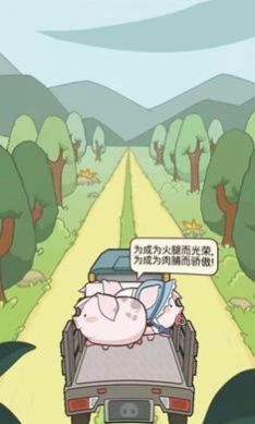 养猪大师红包版