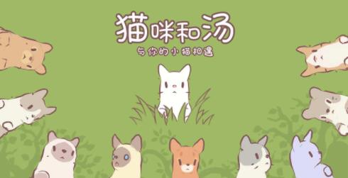 猫与汤无限金币版