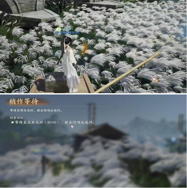 射雕