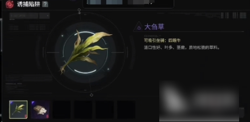 代号56