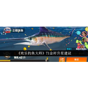 欢乐钓鱼大师T1金杆升星性价比分析与策略