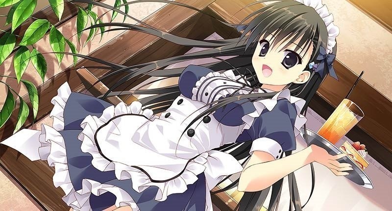 她的圣域汉化版