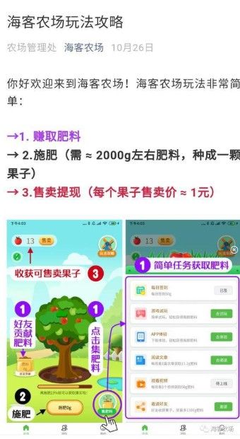 多多花园