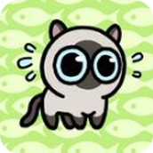 冒险猫