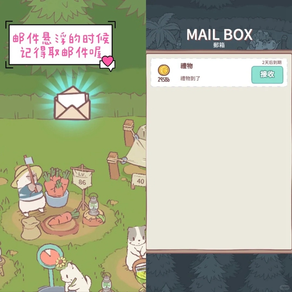猫咪和汤