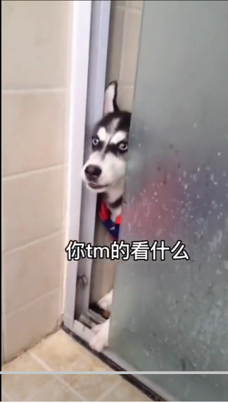 晚上睡不着打给我我是一个负责人的男人