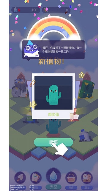 专注植物