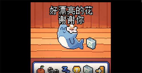 我的小鲨鱼