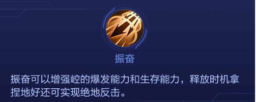 决胜巅峰
