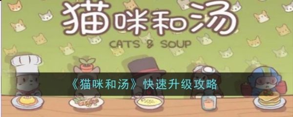 猫咪和汤