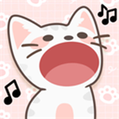 duet cats(猫咪二重奏)