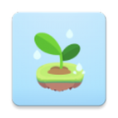 专注植物