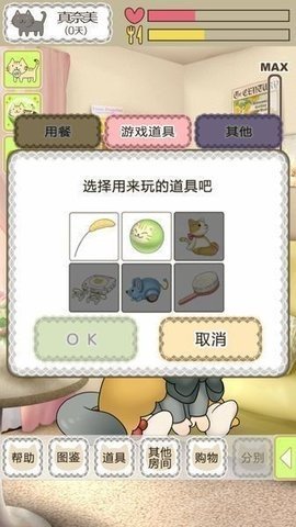 我家不可思议的猫咪安卓下载