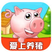 爱上养猪赚钱版