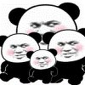 超大熊猫表情包