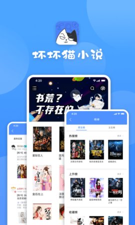 坏坏猫小说