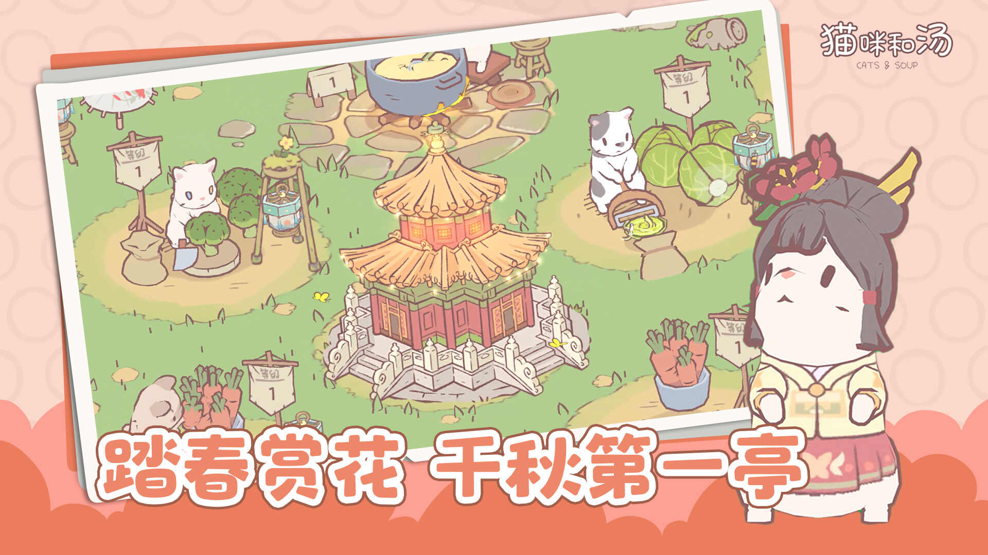 猫咪和汤正版